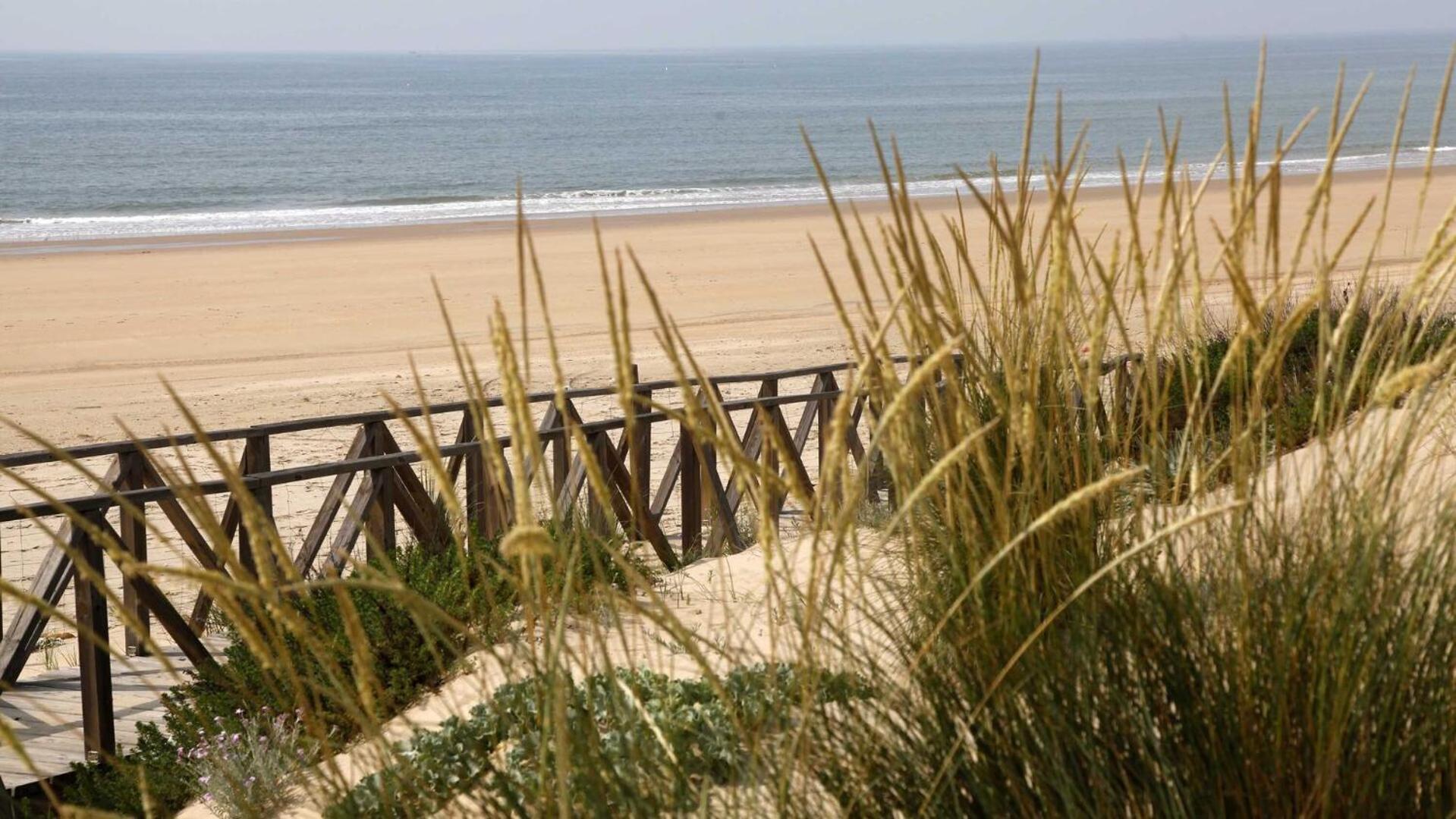 Paqo Lodge Laguna Del Portil, A 400 Metros De La Playa Extérieur photo